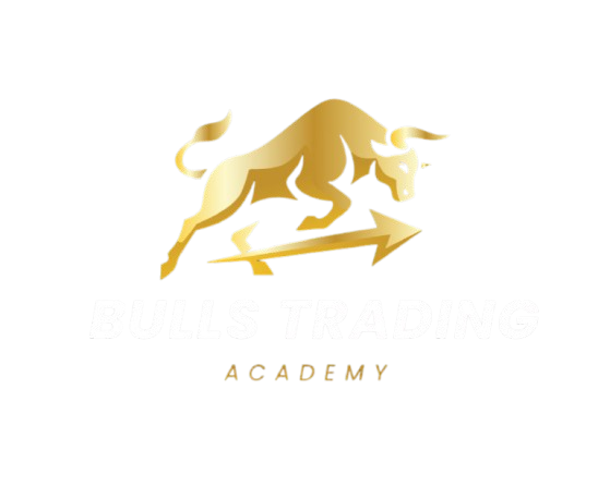 Bull's Academy logo